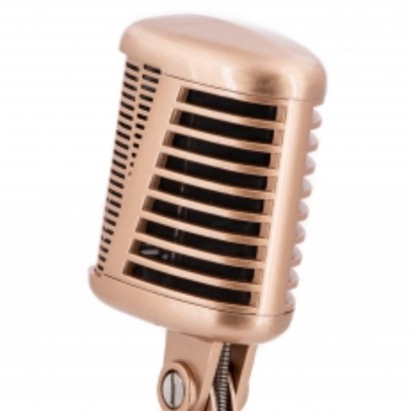 CAD Audio A77 Large Diaphragm SuperCardioid Dynamic Side Address Vintage Microphone For Cheap