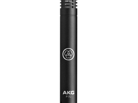 AKG P170 - High-Performance Small-Diaphragm Condenser Microphone Online Hot Sale