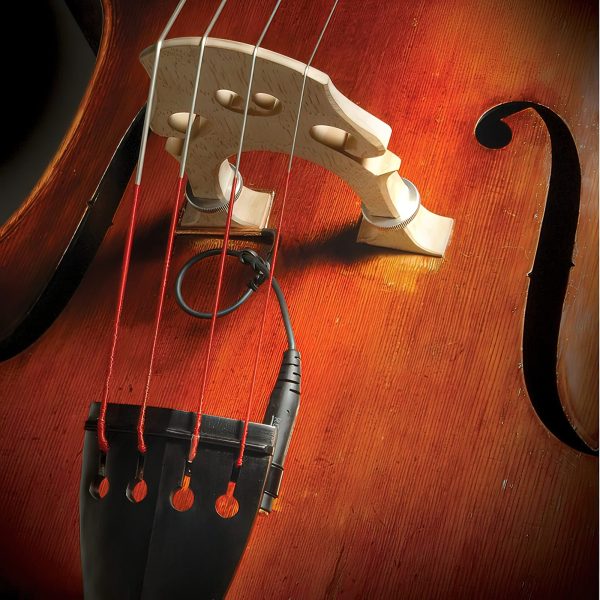 The Realist Lifeline Piezo Pickup for Double Bass For Cheap